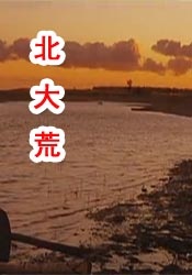 丁香六月婷婷综合